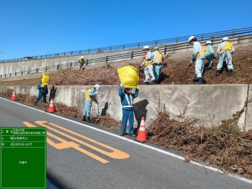 はみ出し草処理